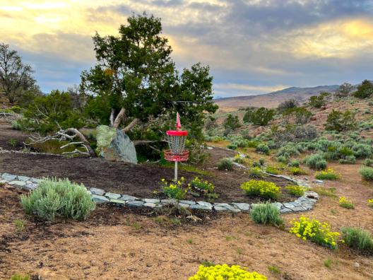 disc golf basket inside of a dark brown dirt 'island' lined with blue rocks